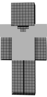 Gray shirt