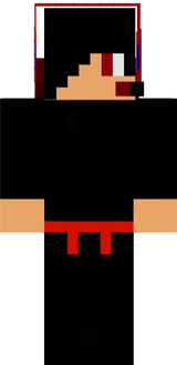 ninja bricklord