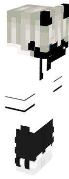NIK NEIS