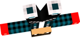 rafaelgatinho