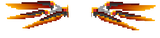 elytra