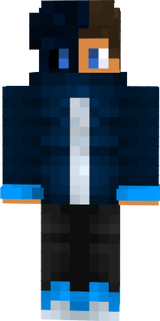 Nikelnik11