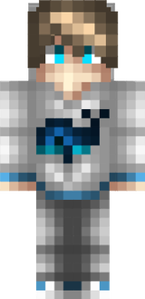 _FlyCraft_