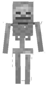 ESQUELETO