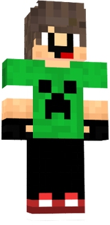 skin