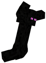 hh