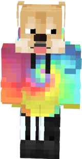 Hund rainbow