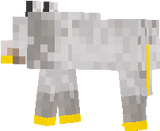 wolf guy