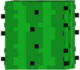 blocks/cactus.png
