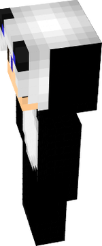 ssss