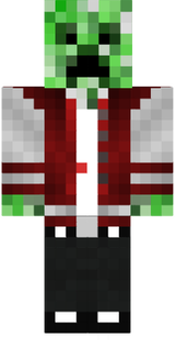 Mester mc skin
