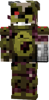 Termo destroyed