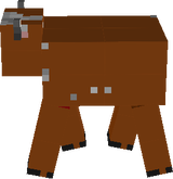 dsdsd