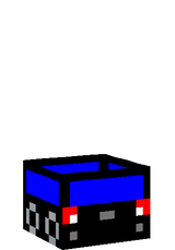 Police Bus