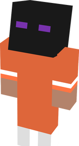 ender portal  test subject