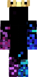 wojta498skin1
