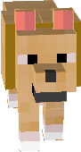 Dog brown