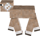 fvgbh