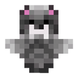 Waschbär totem 123