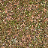 podzol_top