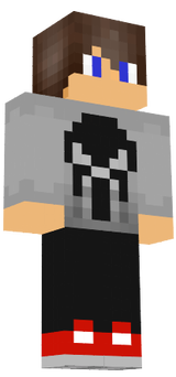 pp