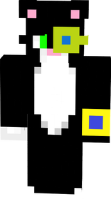 mashor_CAT