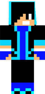Vaidar