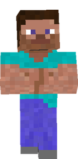 steve o seu amigo