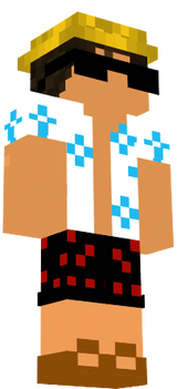Surfer