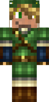 link skin