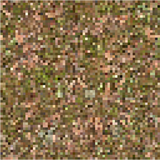 podzol_side