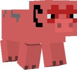 Rune Pig