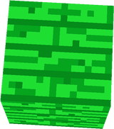 madera de manglar