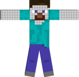 steve