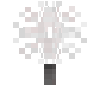 snowflake plant