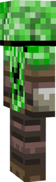 Steave