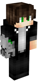 skin
