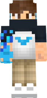 PokeTim