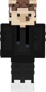 hedgehog thingy 