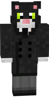 stylisch cat