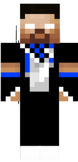 XDArisBrineStudioZ Skin By Aris
