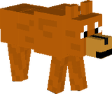 wolf