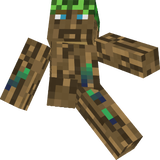 Ent