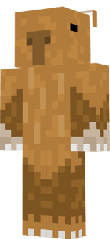 capy