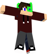 skin 1