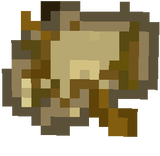 texture paxci
