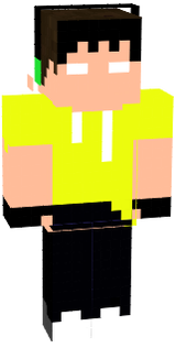 skin