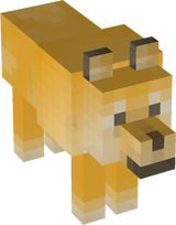 Doge