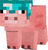 pig
