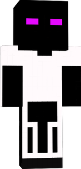 L-333
